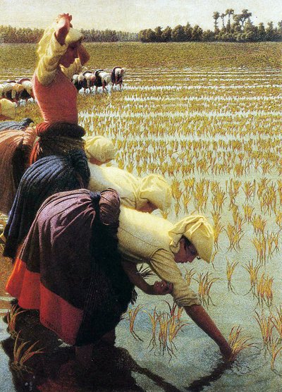एक इतालवी चावल क्षेत्र, 1901 द्वारा Angelo Morbelli